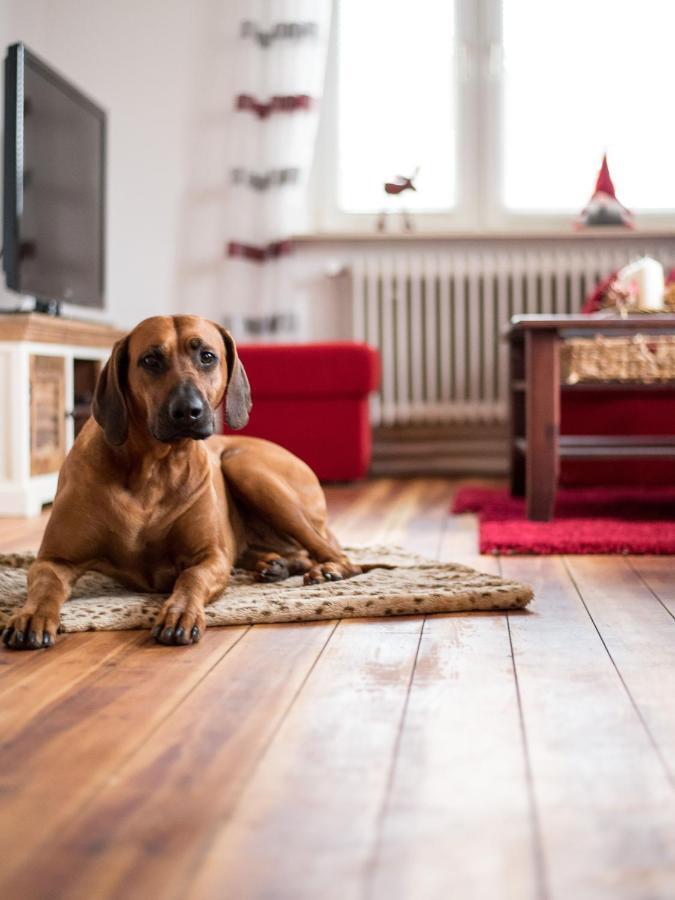 Wohlfuehlen In Ostseenaehe Villa Ratekau Esterno foto